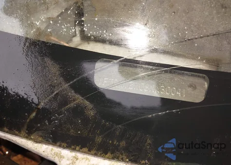 2006 Ford F-150 Stx/Xl/Xlt from USA, damaged, VIN 1FTRX12W06NA30041